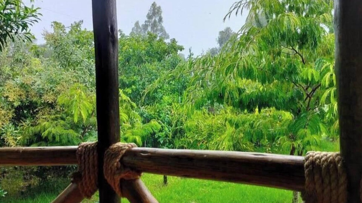 Naro Moru Cottage | Podocarpus cottages