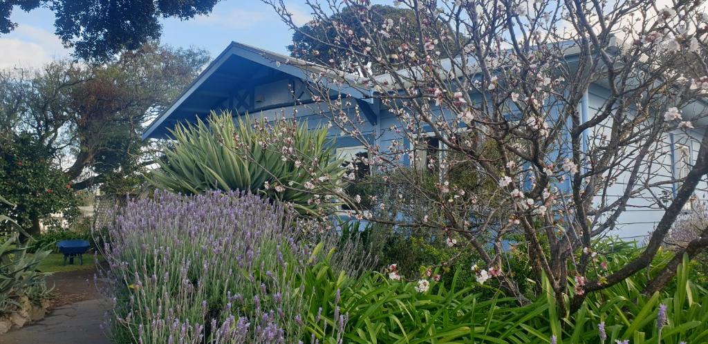 Haumoana Villa | Pohutukawa Villa