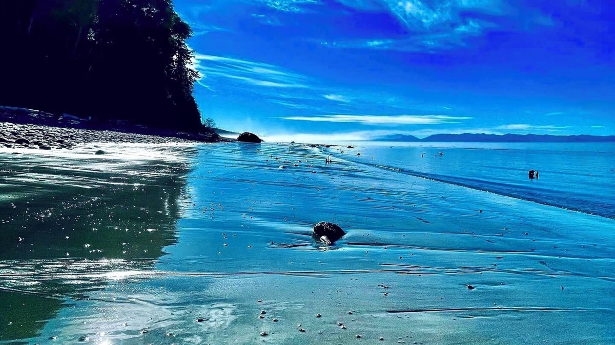 Juan de Fuca Electoral Area House | Points West Oceanfront Resort 2 Bed Ocean Point Suite