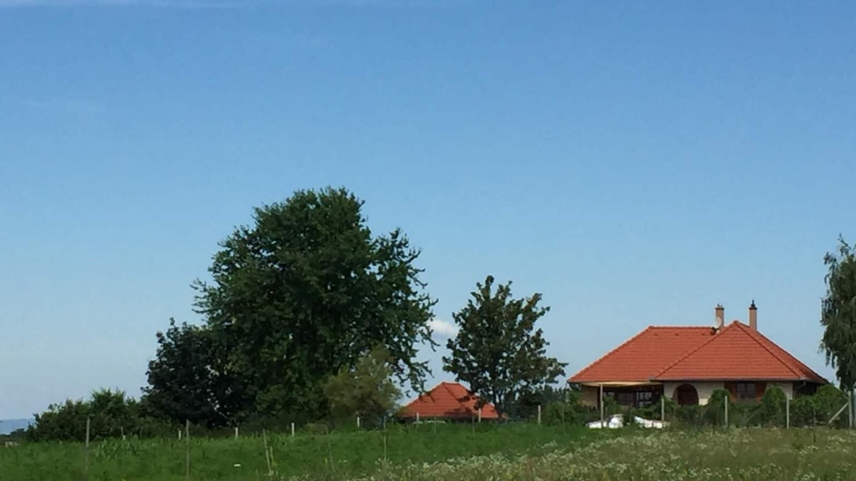 Lengyeltoti House | Poldis Tajhaz, country house with pool, children and dogs welcome