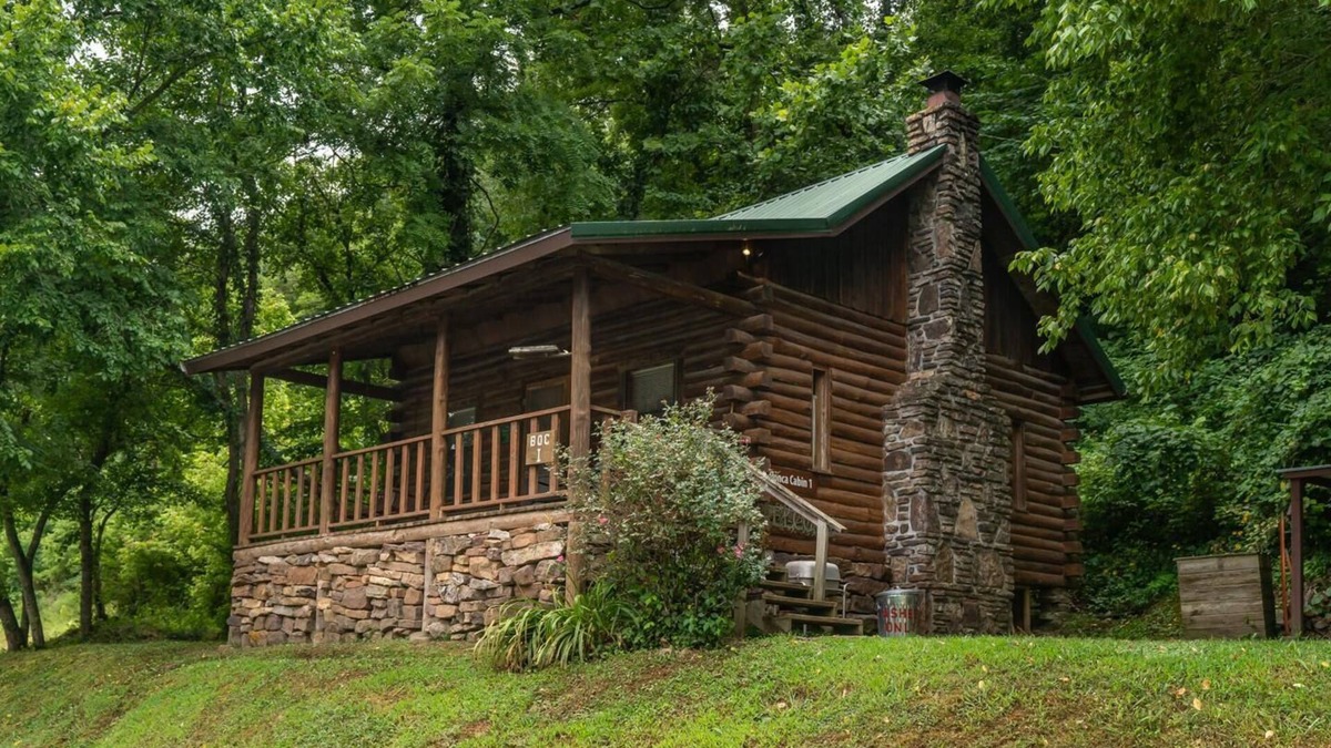 Ponca Condo | Ponca Cabin 1 - Nestled in the Heart of Beautiful Ponca