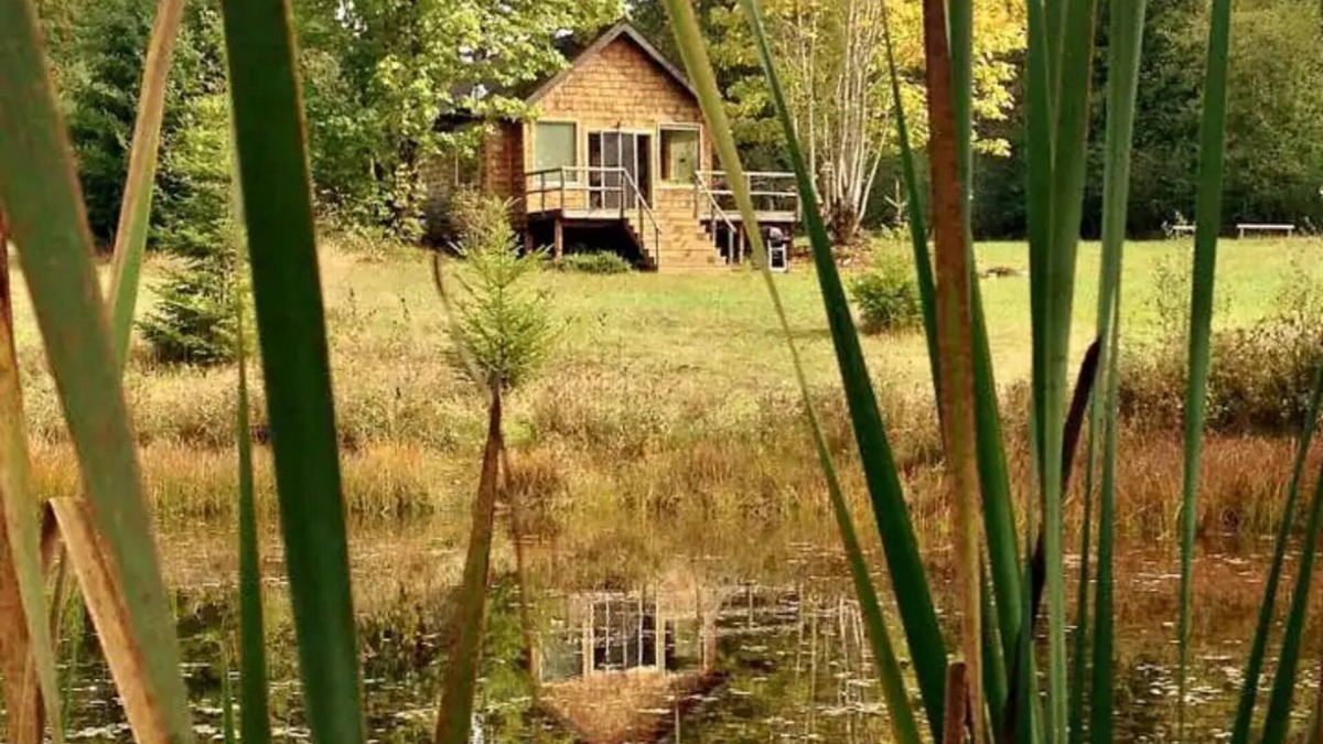 Port Angeles Cabin | Pond Cottage. A roomy tiny home with a Pond
