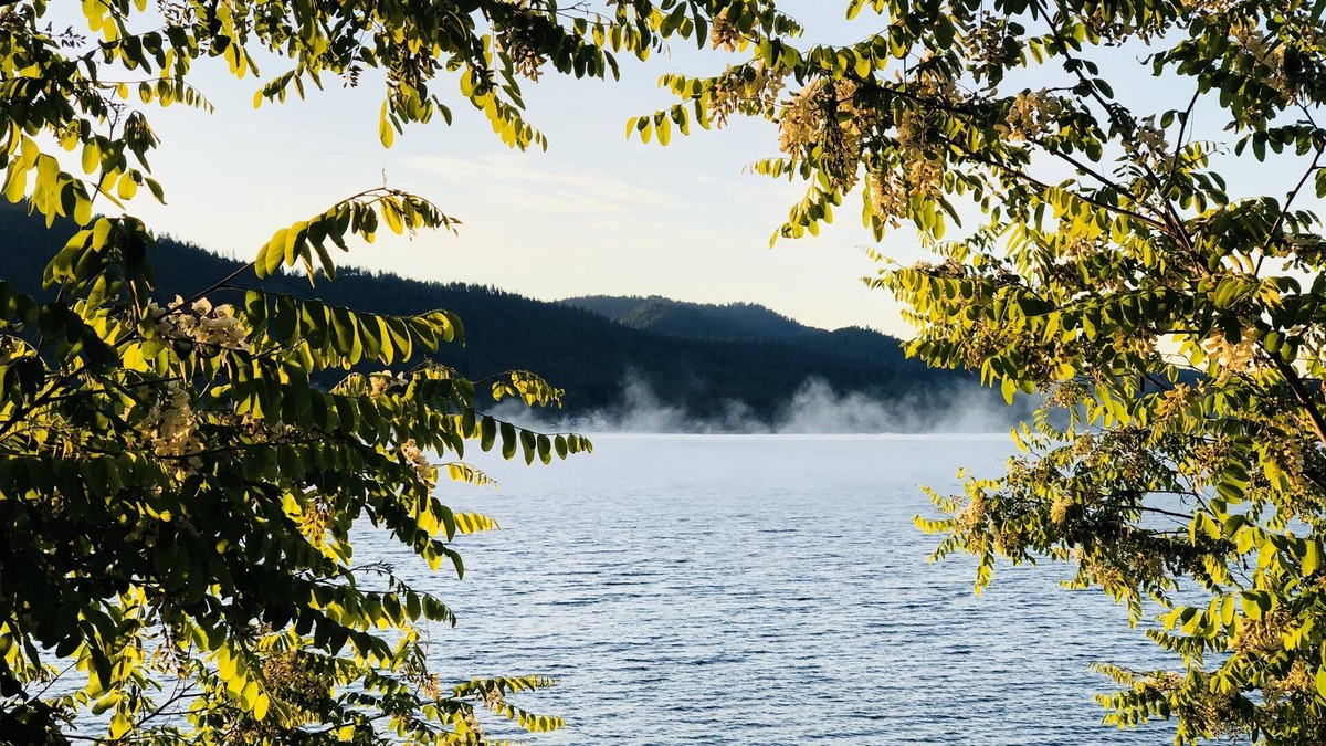 Loon Lake House | Ponderosa Cabin - 6 Bed/2 Bath