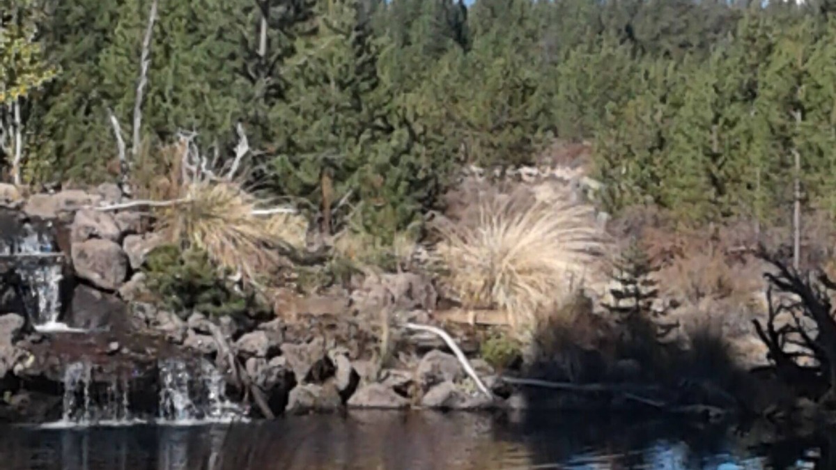 Three Rivers House | Ponderosa Paradise with a million dollar view