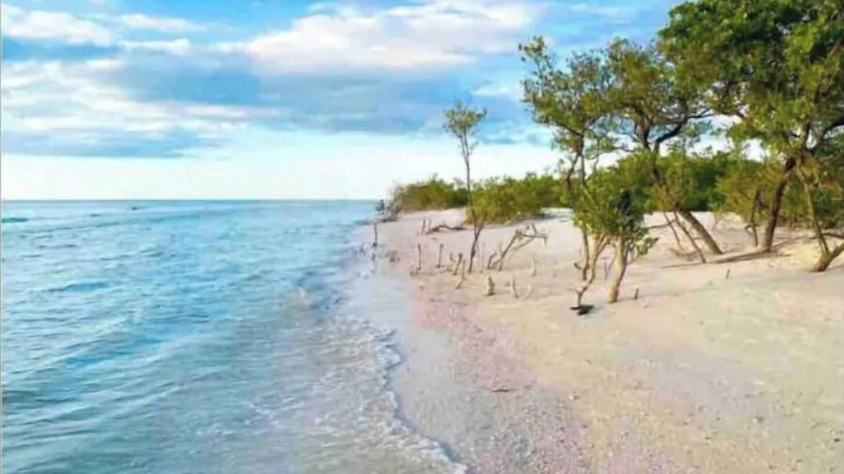 Cobbs Landing House | *Pool* 8.5 miles to Honeymoon Island. 4 bdr
