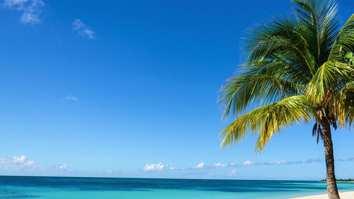 Cotton Ground Villa | Pool/Garden View Units at Hamilton Beach - 2 Bedrooms