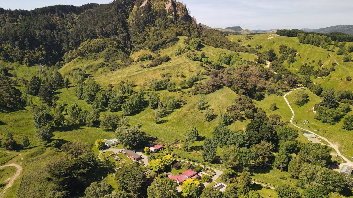 Masterton District Cottage | Poplar Cottage - warm and private, nature haven