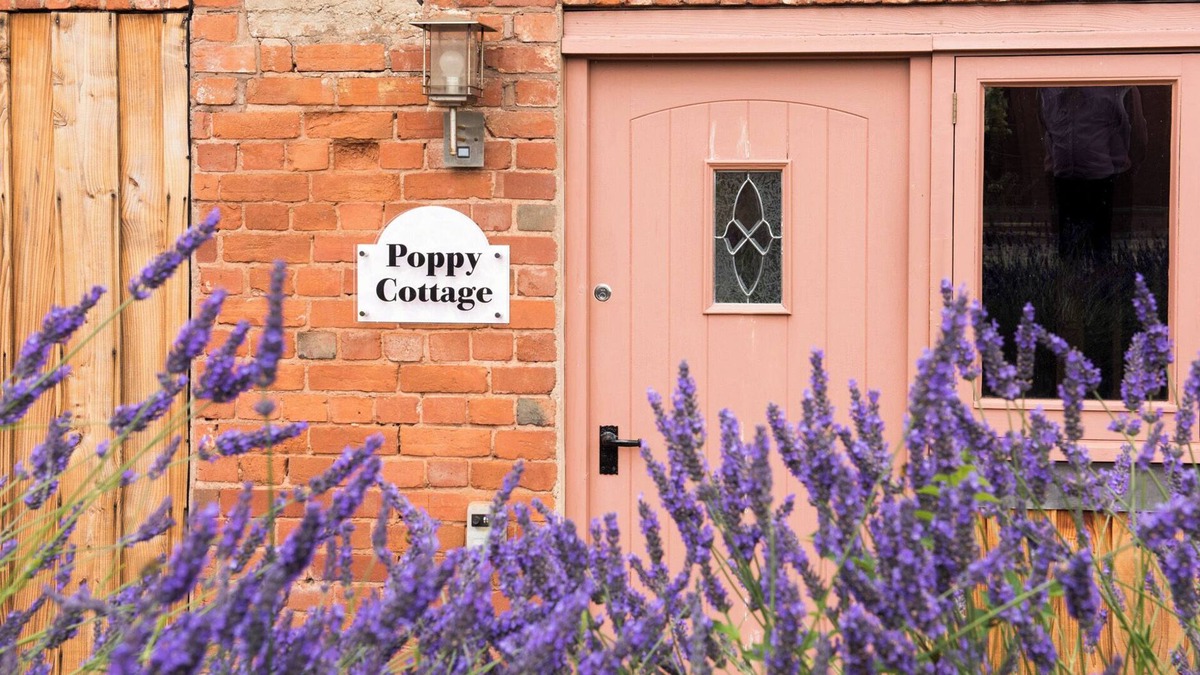 Bicton Cottage | POPPY COTTAGE, family friendly, with a garden in Aylesbeare