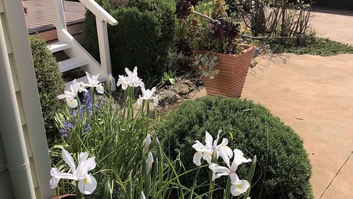 Port Campbell House | Port Campbell Guesthouse & Flash Packers