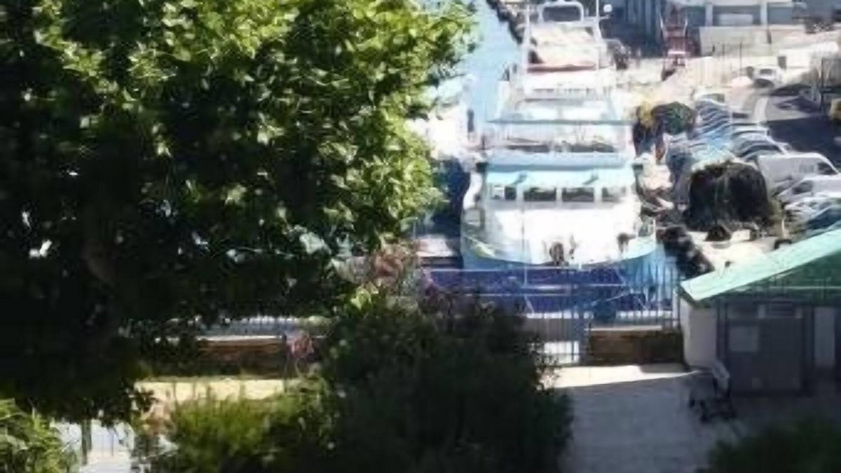 Port-Vendres Apartment | Port-Vendres - Collioure: cosy 2 rooms, 592 sqf, 4-6 pers, sea et harbour views