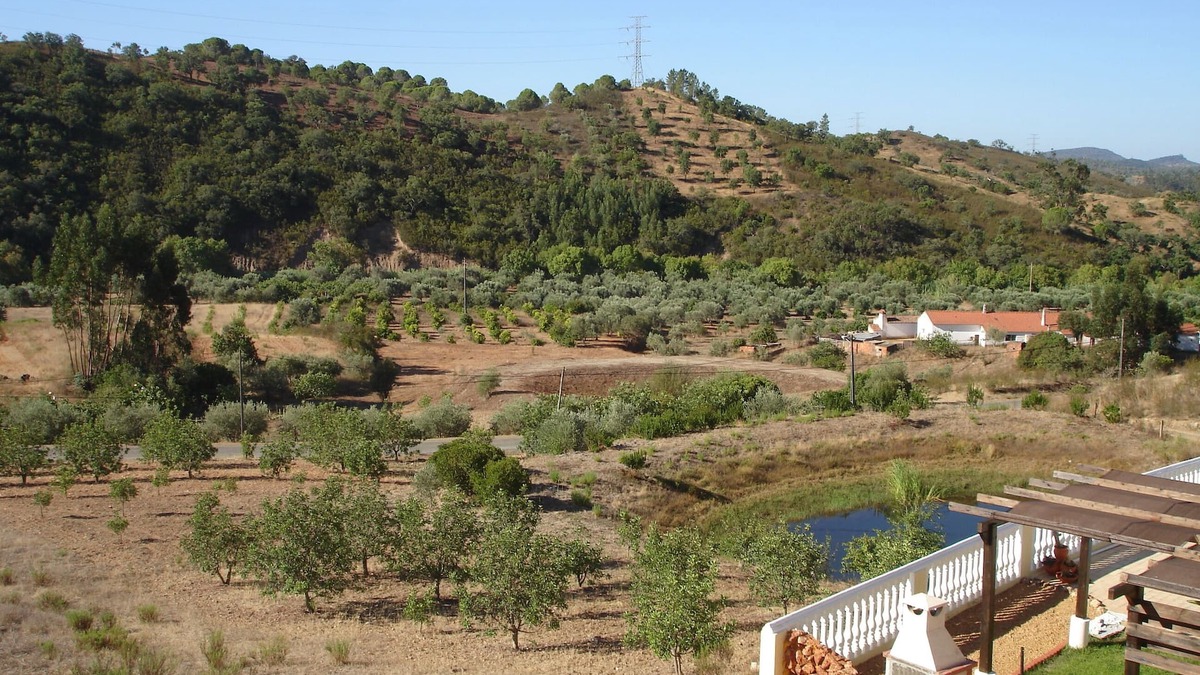 Sao Bartolomeu de Messines Apartment | Portuguese Algarvean countryside, relaxing holiday
