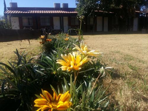 San Agustin de Valle Fertil Hotel | posada cerro los nogales