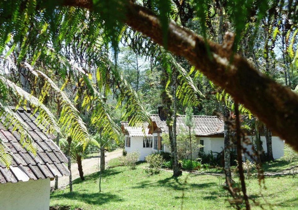 Purulha Hotel | Posada Montaña del Quetzal