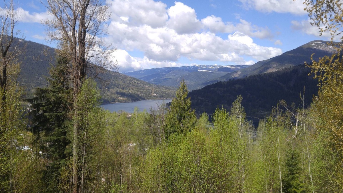 Nelson House | Post and beam, beautiful house, overlooking Nelson and Kootenay Lake.