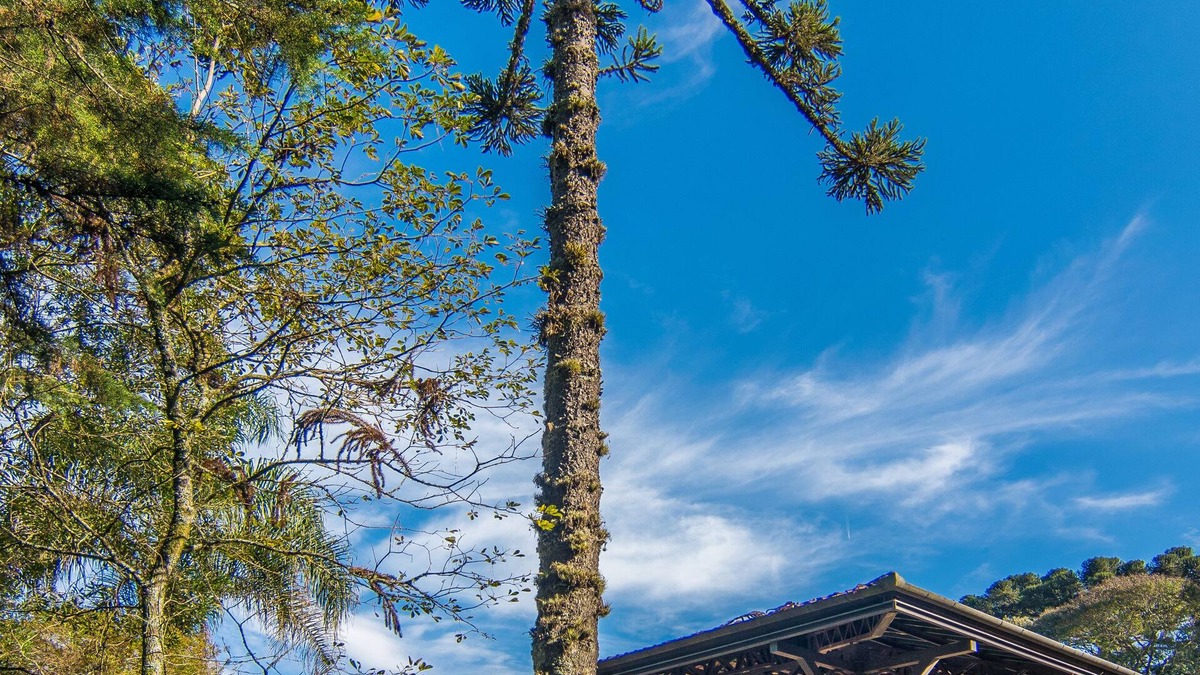 Tres Pinheiros Hotel | Pousada Rosa Gramado