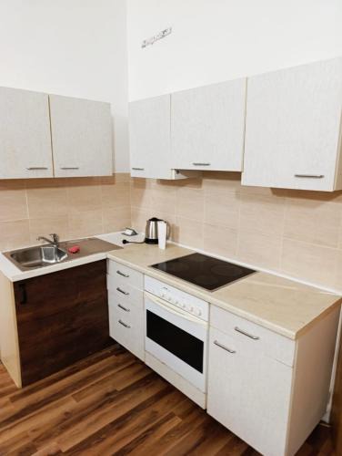 Usti nad Labem Apartment | Pražská 1253 Ústí nad Labem