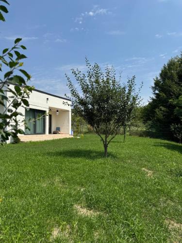 Valea Mare-Pravat Ski Chalet | Prado Garden