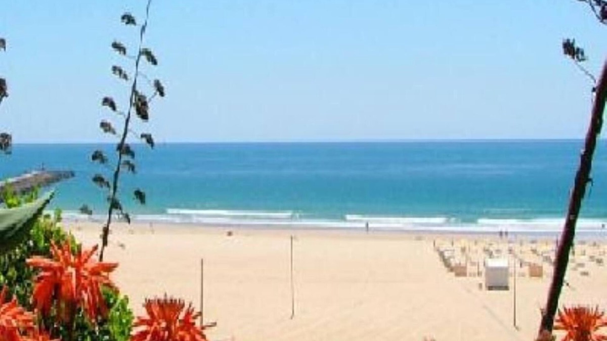 Praia da Rocha Apartment | Praia Da Rocha: Nice private condominium in Algarve