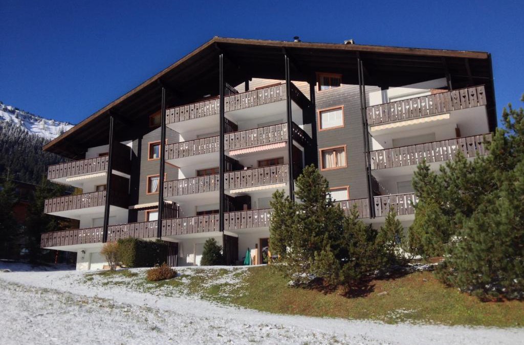 Morgins Apartment | Pre Vert 44