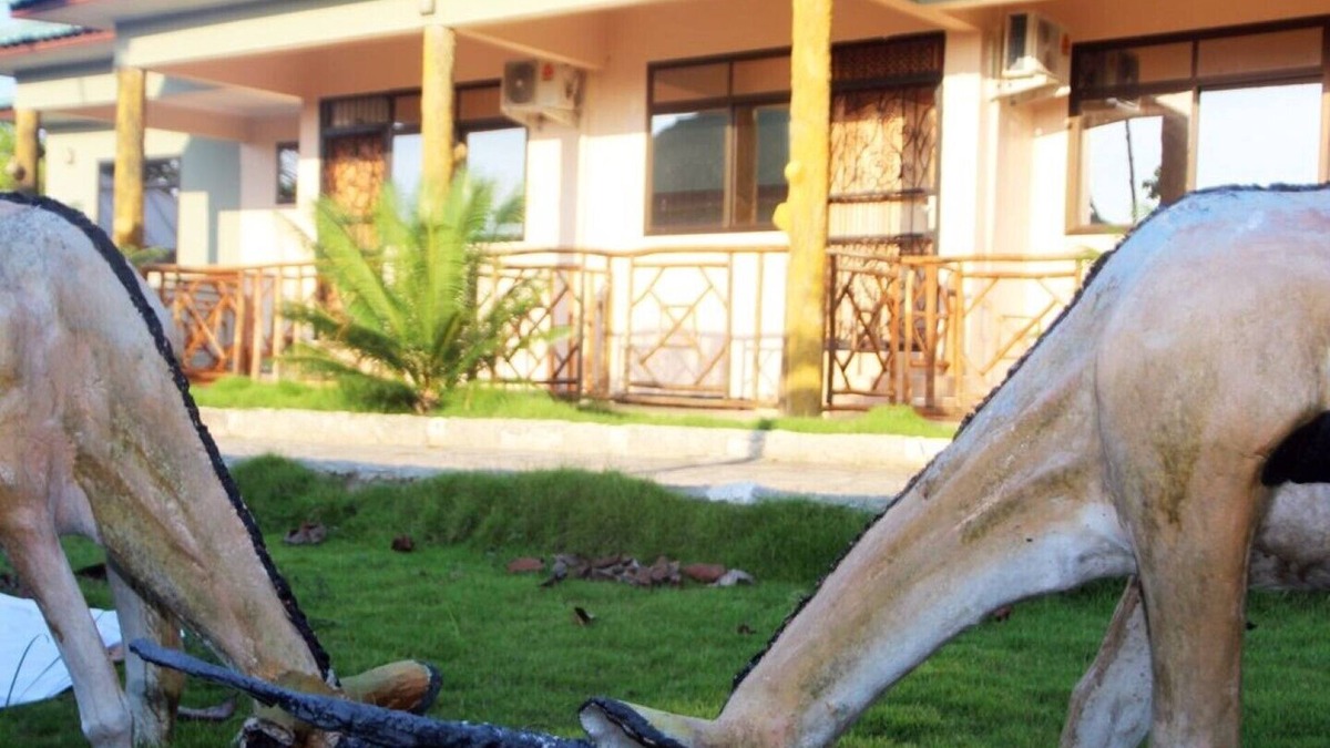 Kigamboni Apartment | Precious and Refurnished Hotel Suite