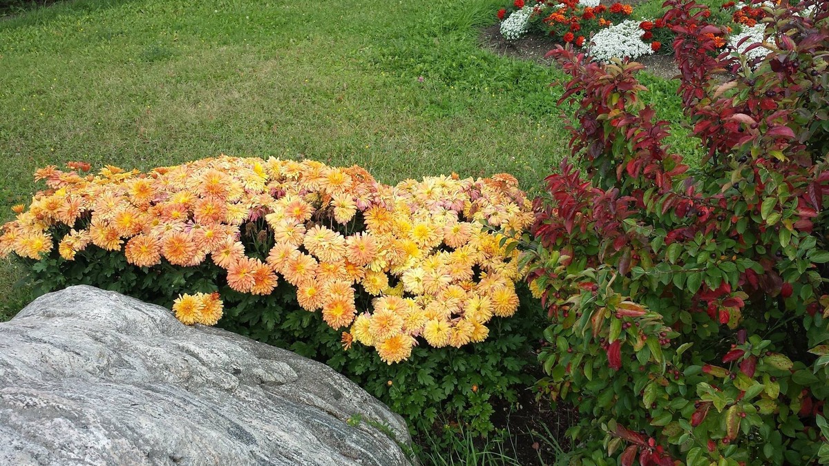 Chapleau House | Preferred Rooms by Crestview Guest House