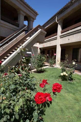 Thousand Oaks Hotel | Premier Inns Thousand Oaks