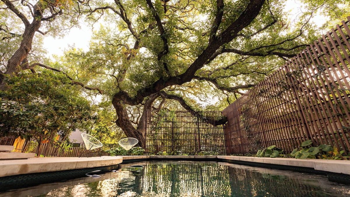 Barton Heights House | Preservation Austin Home, restored to Midcentury Gloryn
