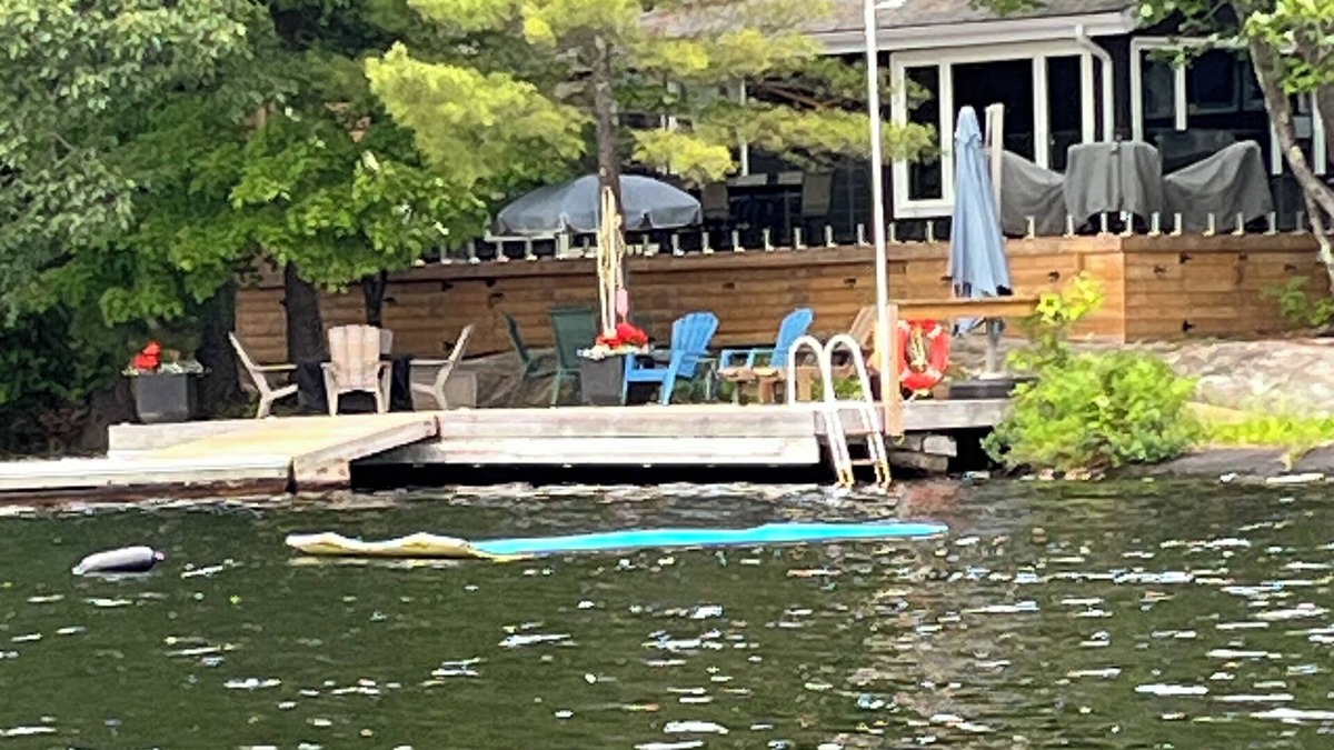 Georgian Bay Cottage | Pretty Cottage - newly renovated cottage on Six Mile Lake - Great swimming
