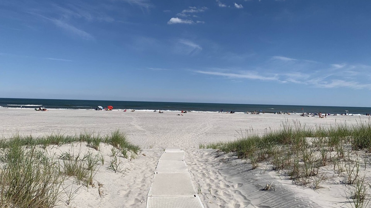 A-Zone House | Prime Beach House & Huge Private Back Yard - Steps to the beach & Shark Park!