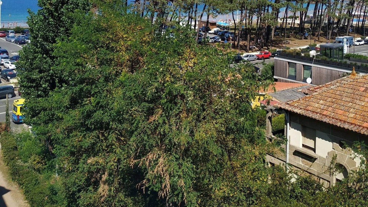 Alcabre Apartment | Primera Línea De Playa Avenida De Samil 55
