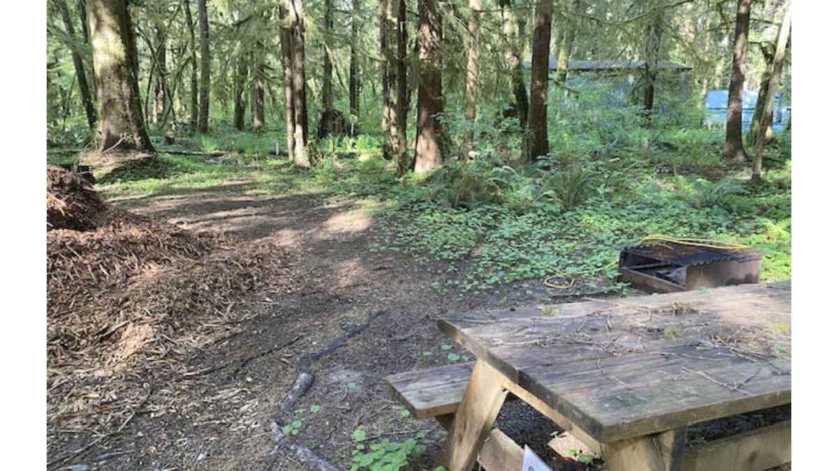 Forks RV Rental | Primitive Tent Site #7- Beautiful Forested Property