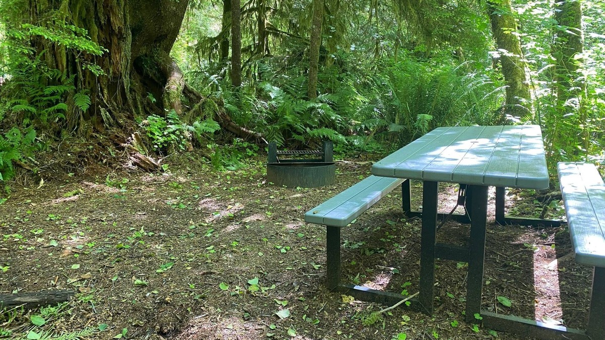 Forks RV Rental | Primitive Tent Site in Enchanted Rain Forest - Site #18