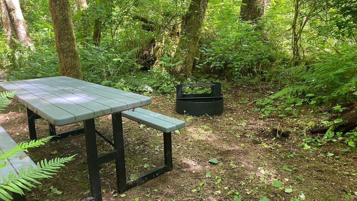 Forks RV Rental | Primitive Tent Site in Enchanted Rain Forest - Site #21