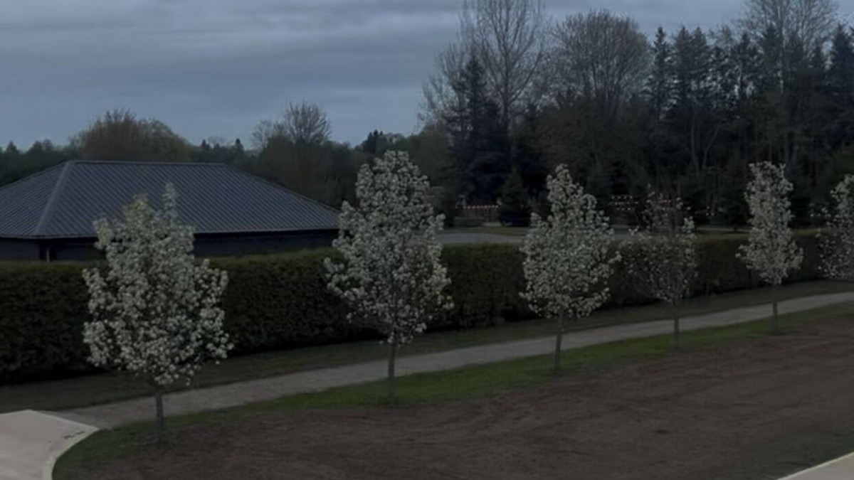 Durham Region House | Pristine 10 Acres