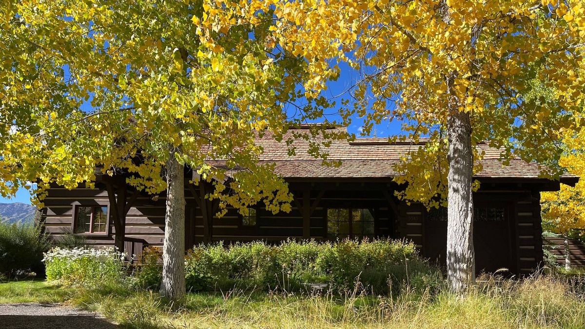 Jackson Hole Cabin | Pristine Cabin with Teton Views