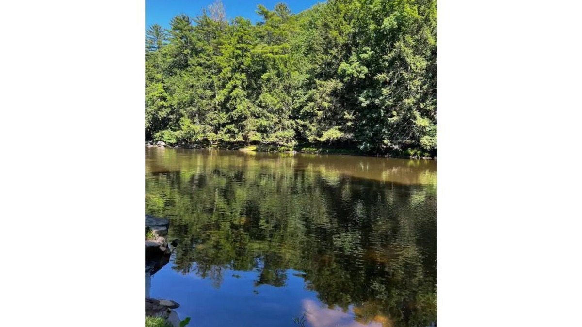 Cuddebackville House | ⭐️Pristine river front property, swim, kayak + fish. ⭐️ 90 mins away from NYC