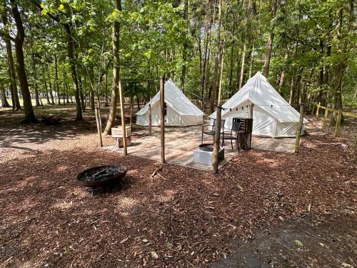 Hoogstraten Other | Privé Alpaca Glamping Hoogstraten