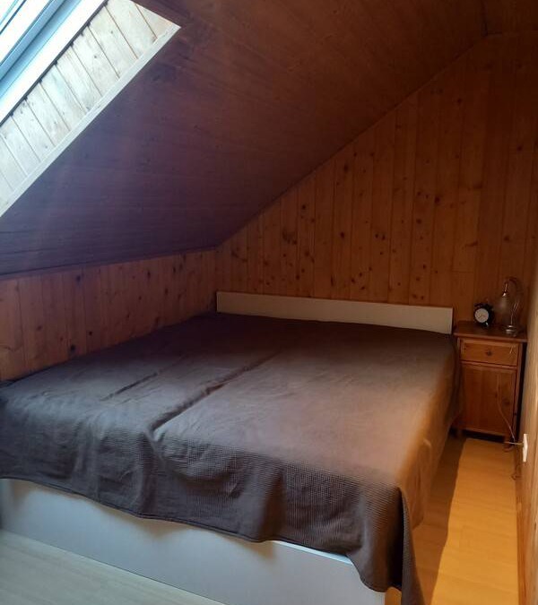 Sankt Veit an der Glan Resort | Private room ∙ 1 guest