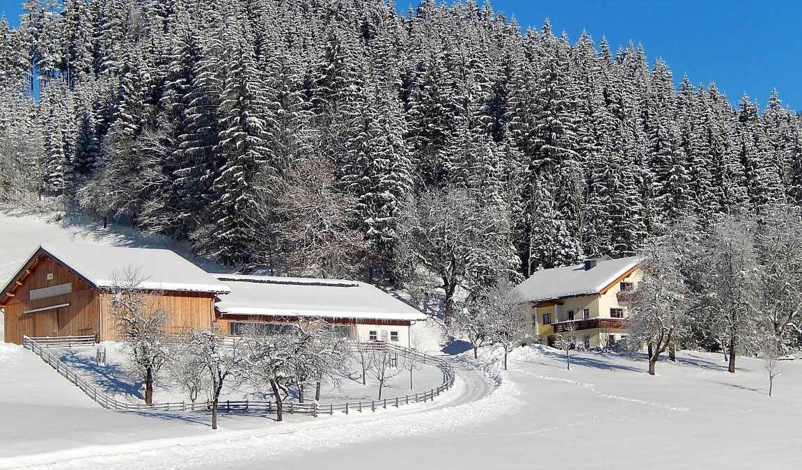 Goestling an der Ybbs Resort | Private room ∙ 1 bedroom ∙ 2 guests