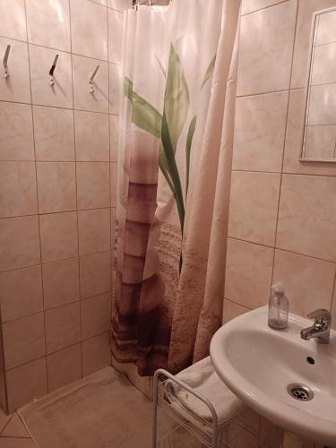 Liptovsky Jan House | Privat Mária