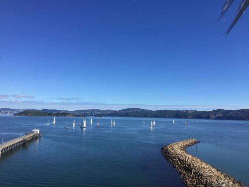 Lowry Bay Bed & Breakfast | Private 1 bedroom with amazing sea views