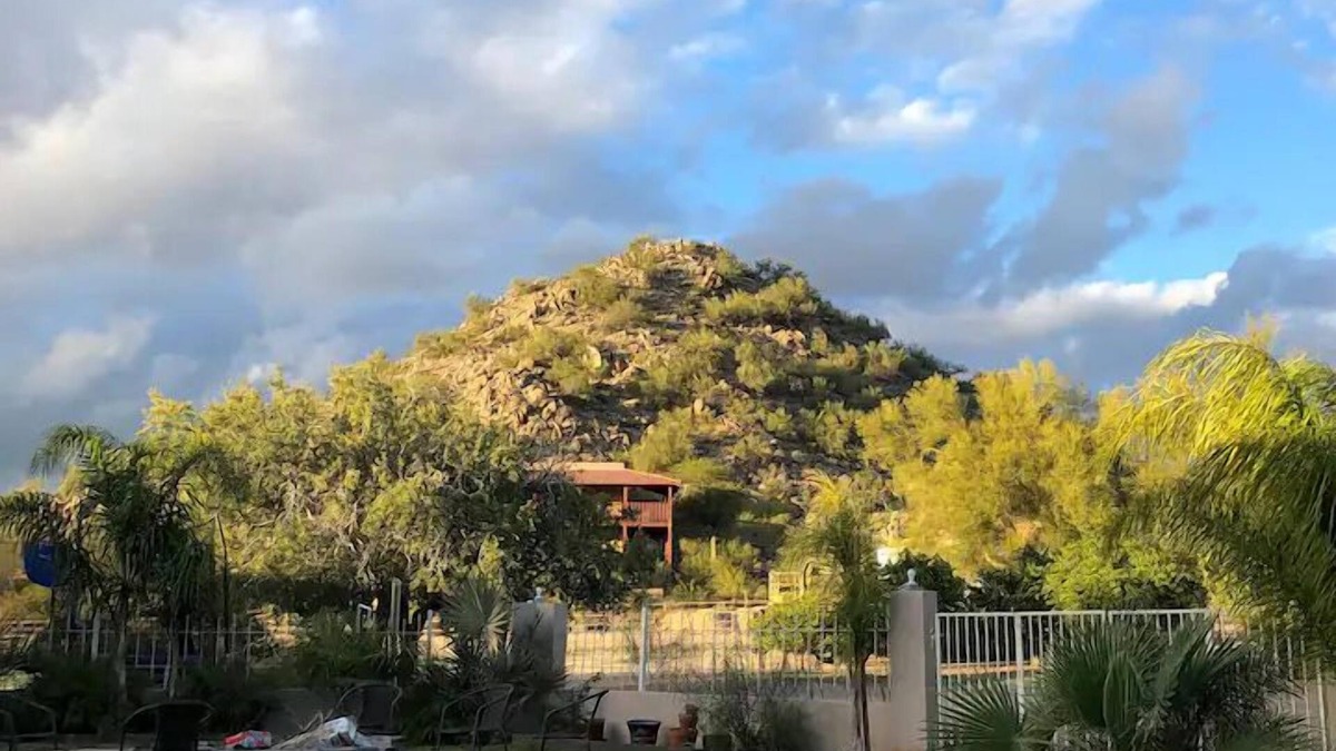 Mountain Bridge House | Private 2.5-Acre Retreat with Lush Palms, Pool, Play Train & Tortoises