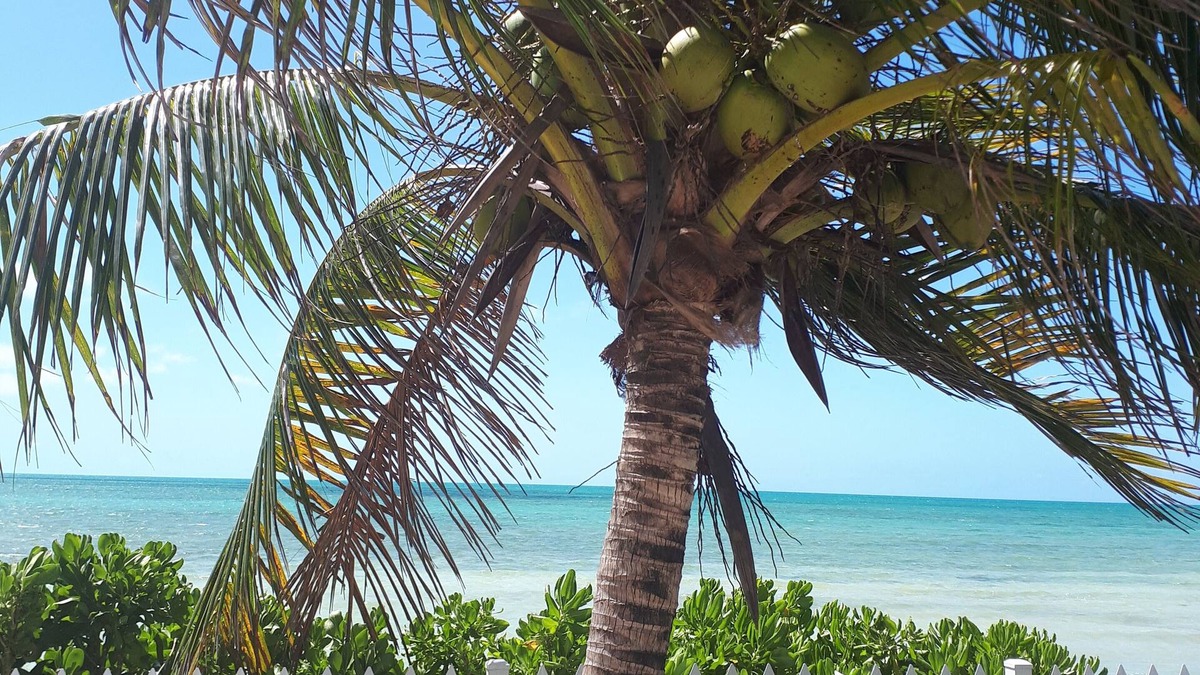 Coral Harbour Cottage | Private and Peaceful Cottage at the Beach