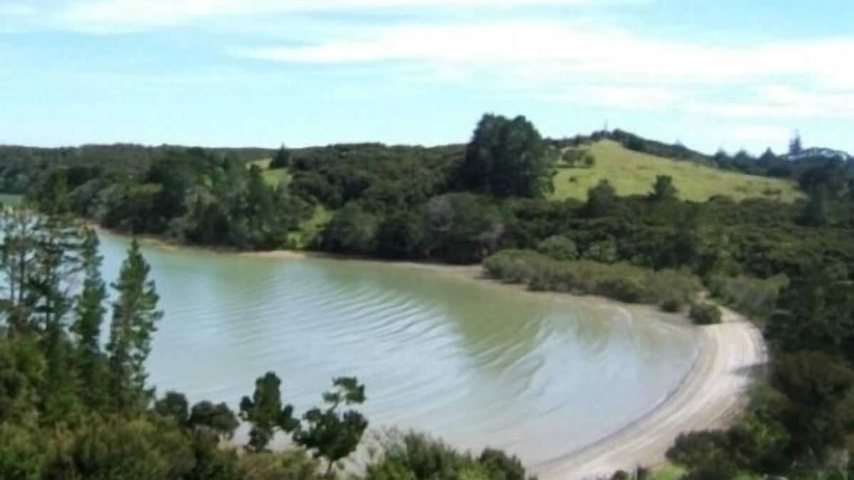 Okiato House | Private and pet friendly lockwood house