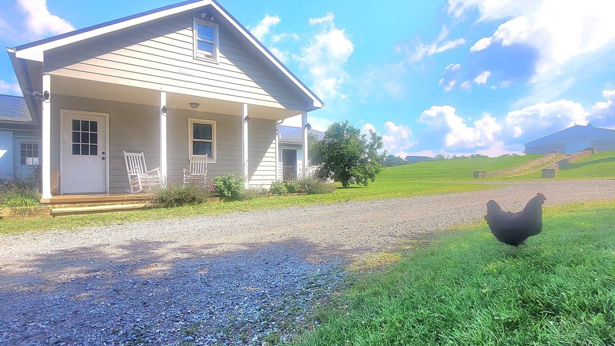 Bluemont Apartment | Private apartment on a beautiful private farm!