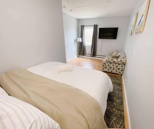 Coram Apartment | Private Apt King Suite, L.I, NY-Hamptons to NYC