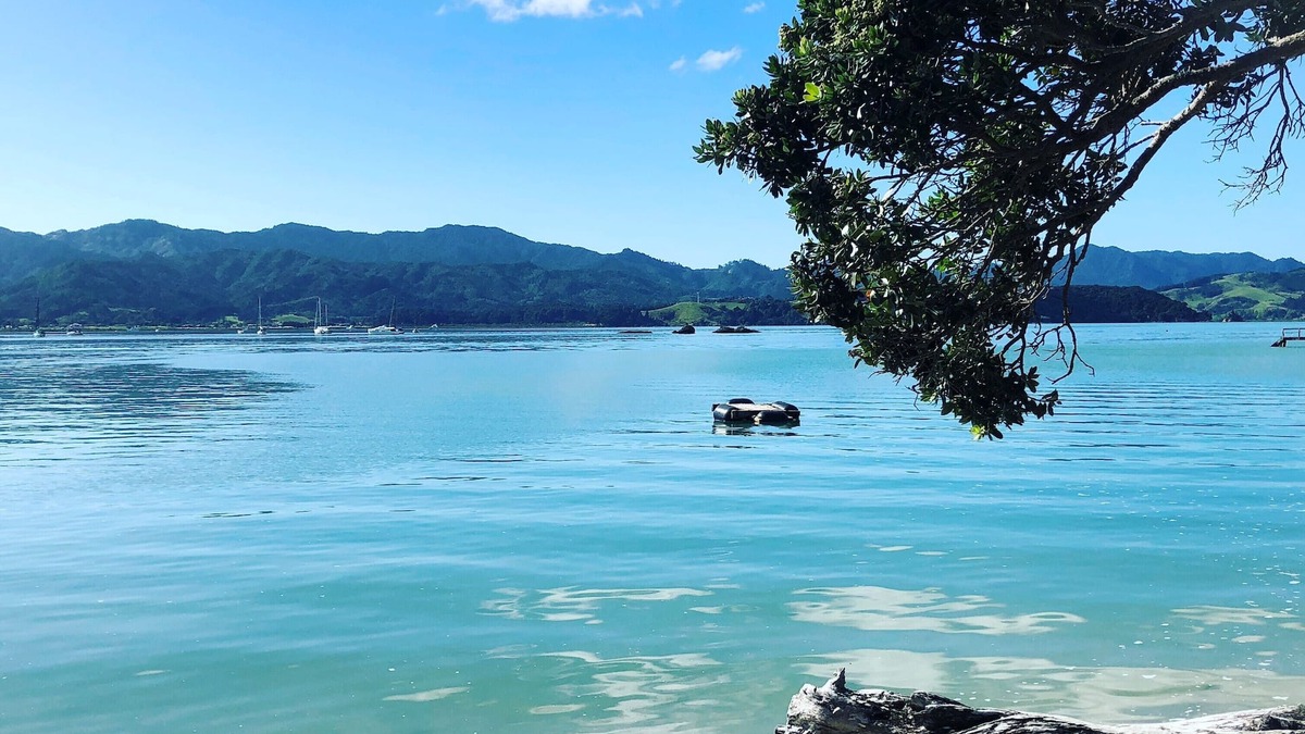 Coromandel House | Private Bay with Amazing Sea Views