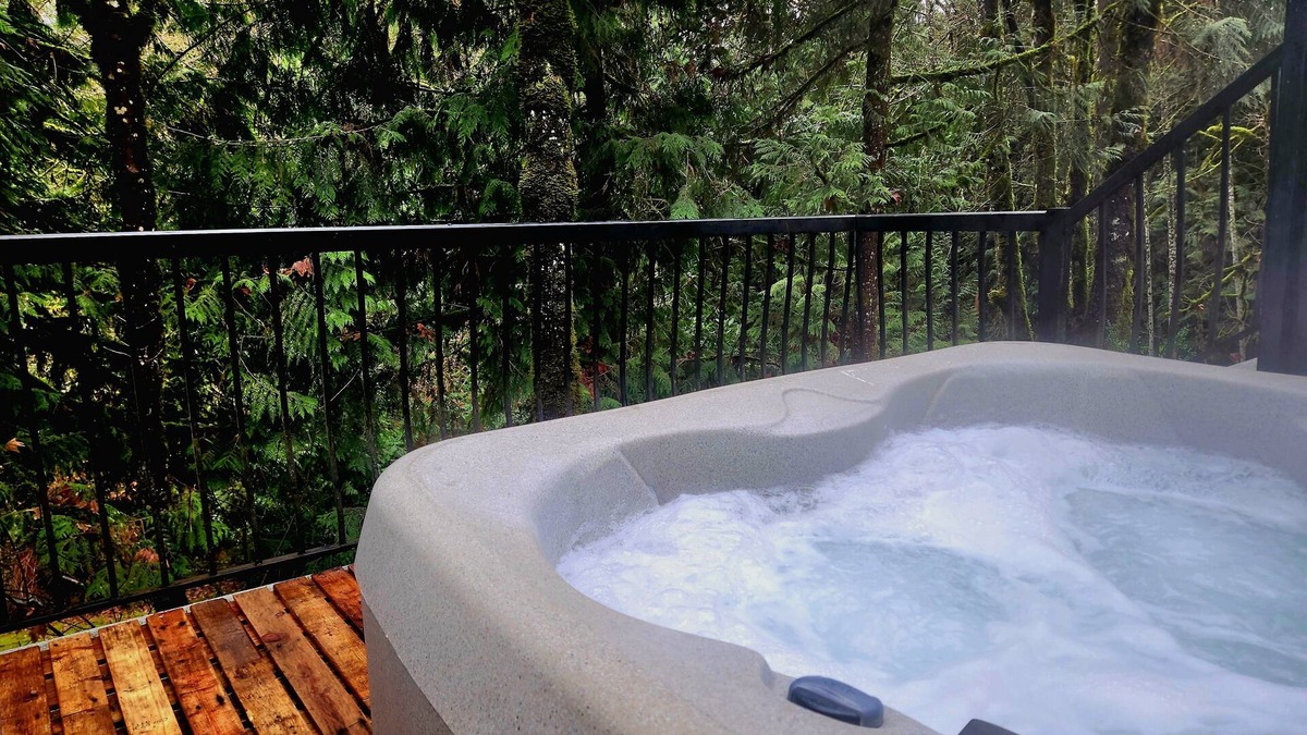 Maple Ridge House | Private Basement suite, beautiful ravine! Perfect, Relaxation or Celebration 🤩
