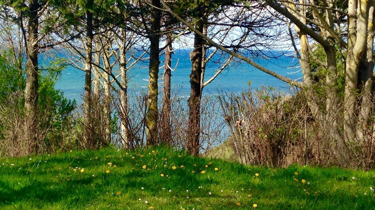 Port Angeles House | Private Beach Access Trail, peaceful wooded setting - sleeps 3