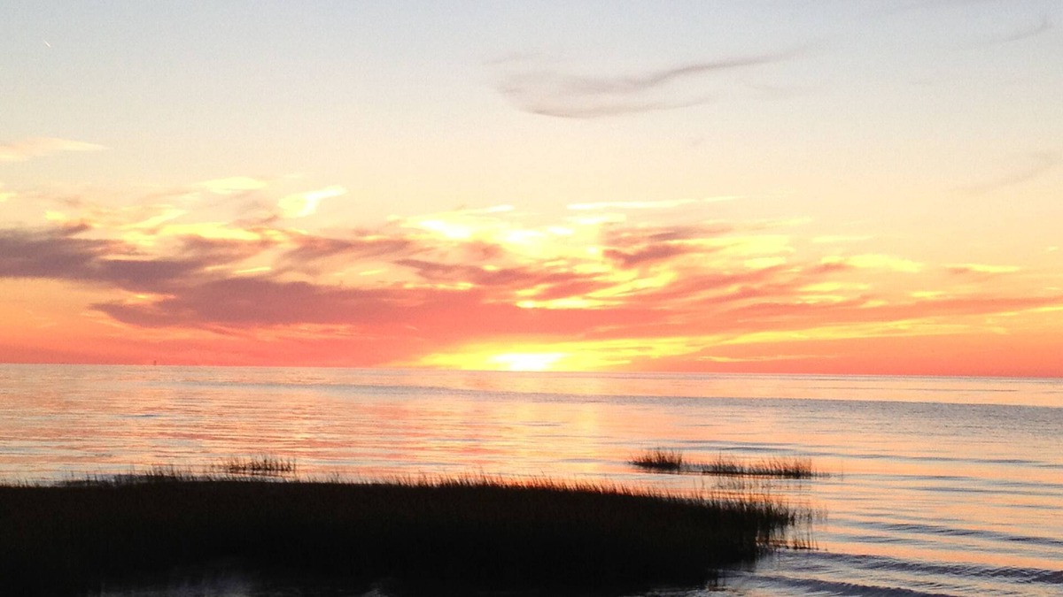 Orleans House | Private Beach Access, Large House in the Woods